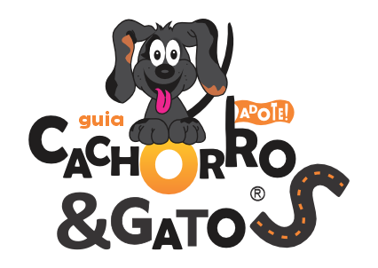 logo-site